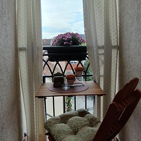 Apartman Element Крушевац Екстер'єр фото