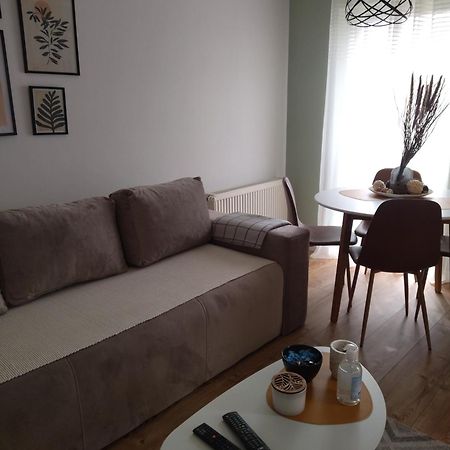 Apartman Element Крушевац Екстер'єр фото