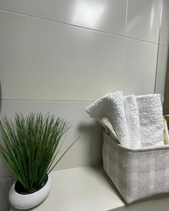 Apartman Element Крушевац Екстер'єр фото