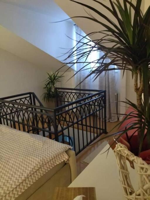 Apartman Element Крушевац Екстер'єр фото